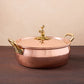 Disney100 x Glamstore The Donald Duck Braiser - 6qt